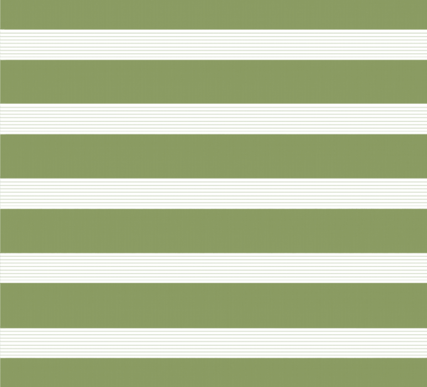 Рулонные шторы зебра «день-ночь» Делия зелёный 124