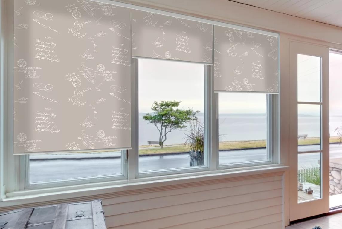 Рулонные шторы вид на окне фото